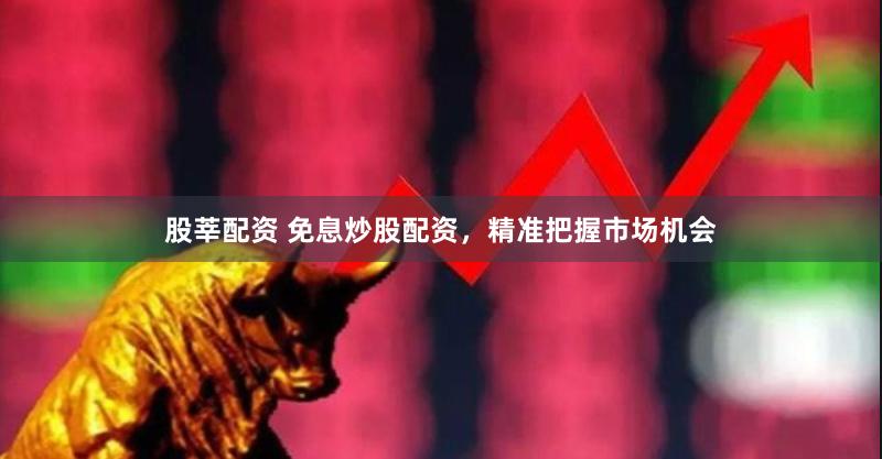 股莘配资 免息炒股配资，精准把握市场机会