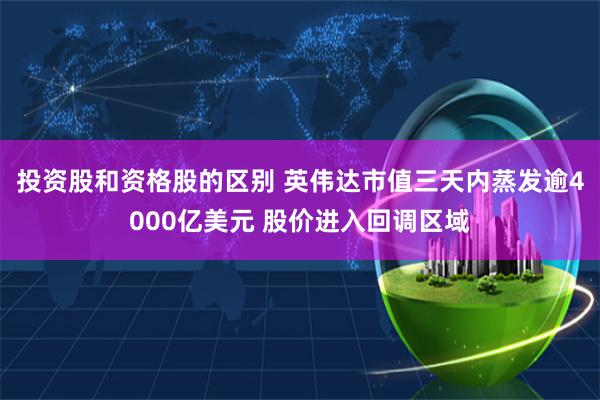 投资股和资格股的区别 英伟达市值三天内蒸发逾4000亿美元 股价进入回调区域