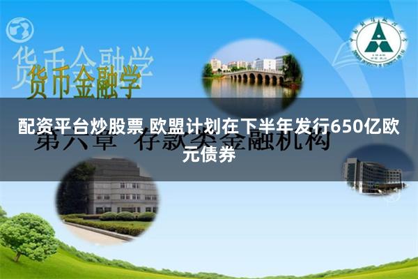 配资平台炒股票 欧盟计划在下半年发行650亿欧元债券