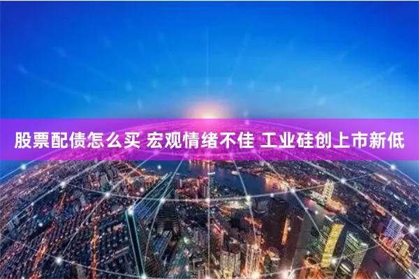 股票配债怎么买 宏观情绪不佳 工业硅创上市新低