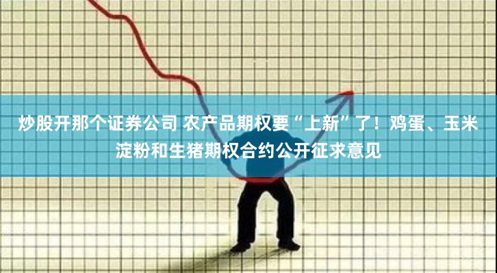 炒股开那个证券公司 农产品期权要“上新”了！鸡蛋、玉米淀粉和生猪期权合约公开征求意见