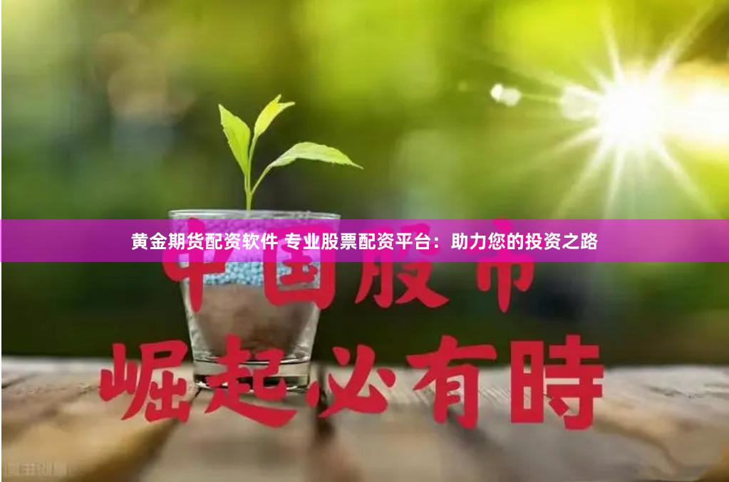 黄金期货配资软件 专业股票配资平台:助力您的投资之路