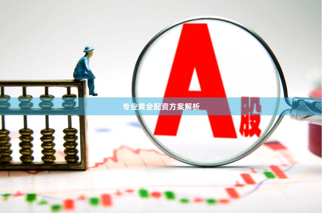 专业黄金配资方案解析